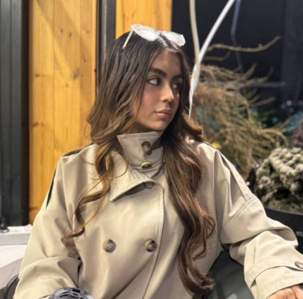 عکسِ پرنیان خدابخشی